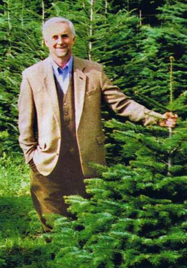 weihnachtsbaum, weihnachtsb�ume, christbaum, christb�ume,tannenbaum, tannenb�ume,